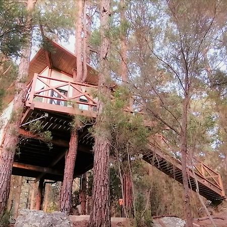 Casita Colgada "Can Lia" Ла-Гуанча Экстерьер фото