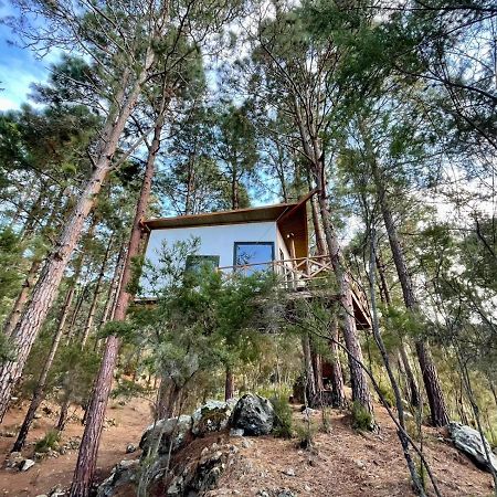 Casita Colgada "Can Lia" Ла-Гуанча Экстерьер фото